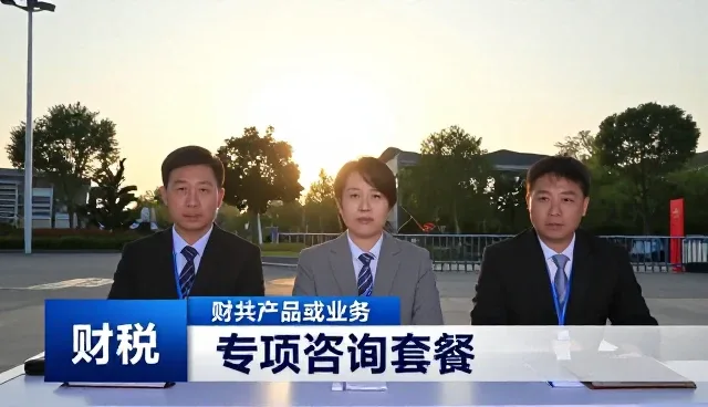 财税咨询服务如何匹配不同应用场景的应用条件